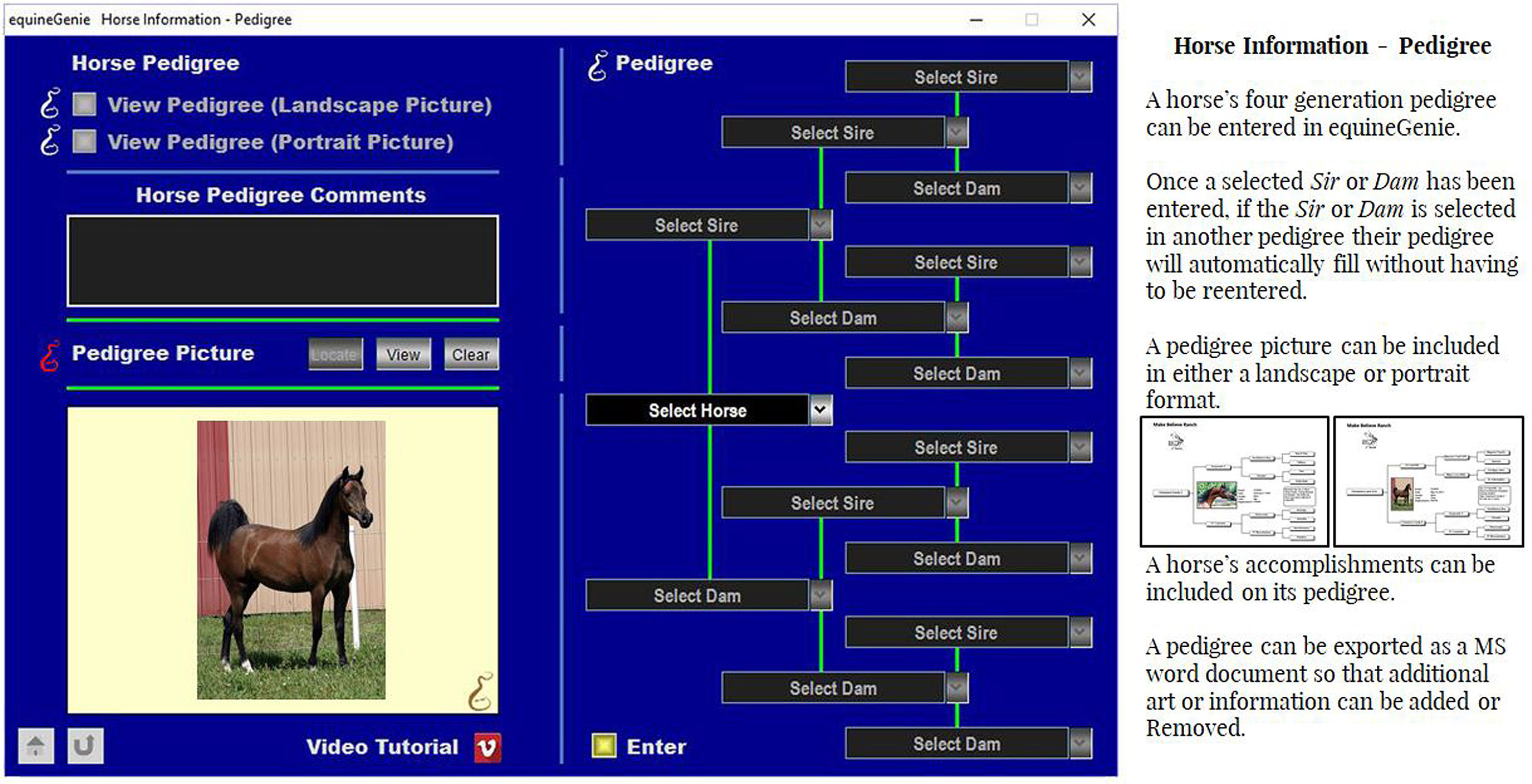 Horse Care Management | Equine Genie - Horse Business Management Software