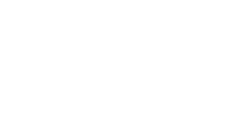 Steve T Martin Photography Logo