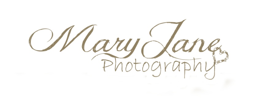 mary lang Logo