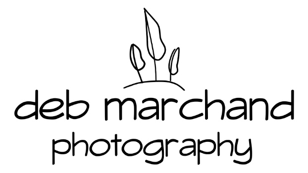 Deb Marchand Photography Logo