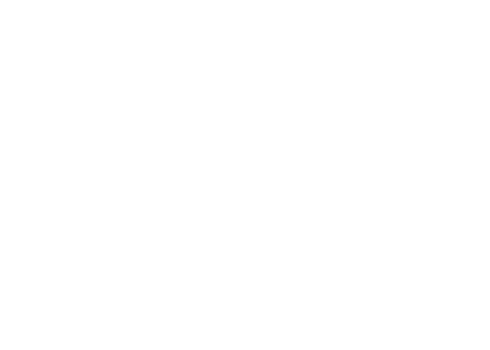 Alexander Portrait Designers Logo