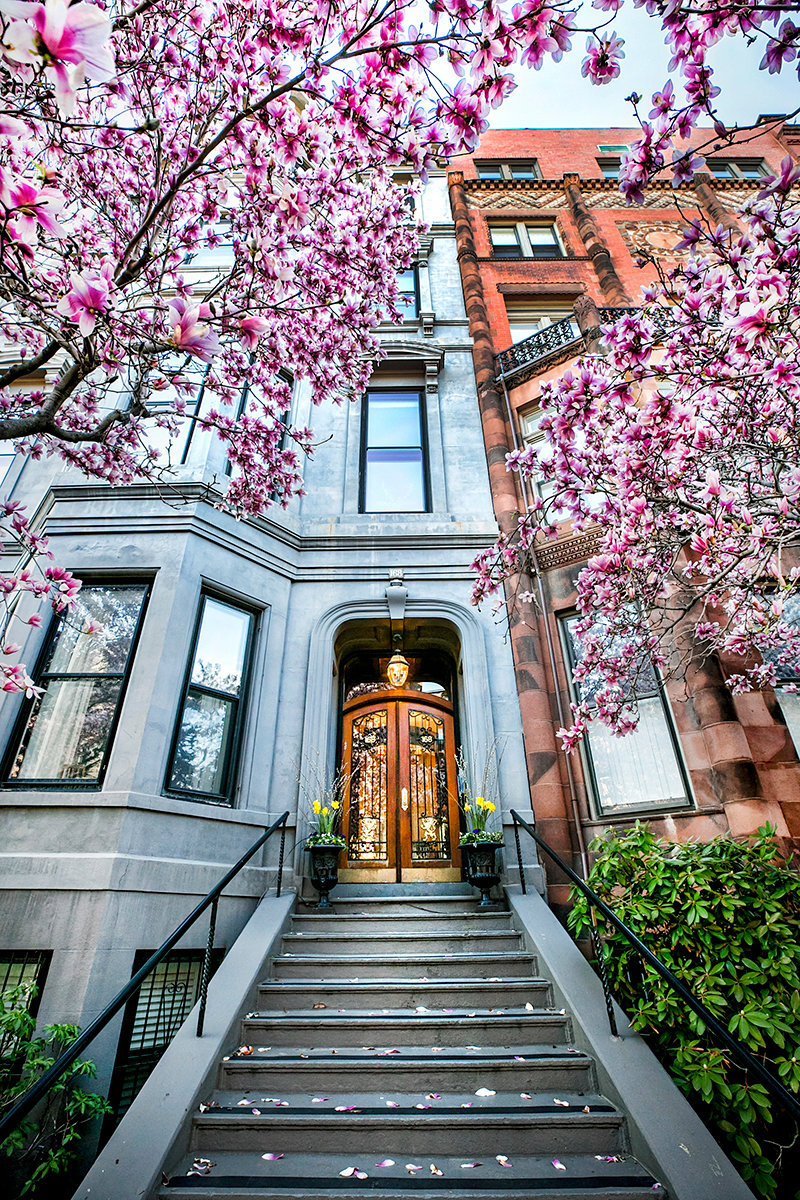 5 great spots to see flowering trees in Boston during Spring ...