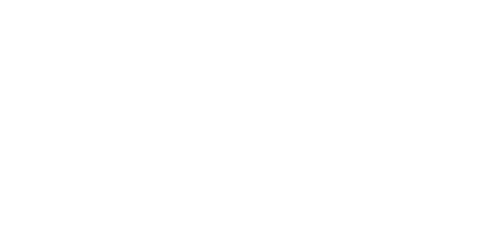Brandie McMinn Photography Logo