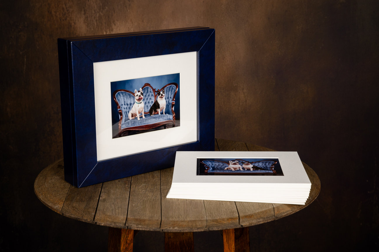custom pet photography reveal box with matted portrait prints that can be rotated for display