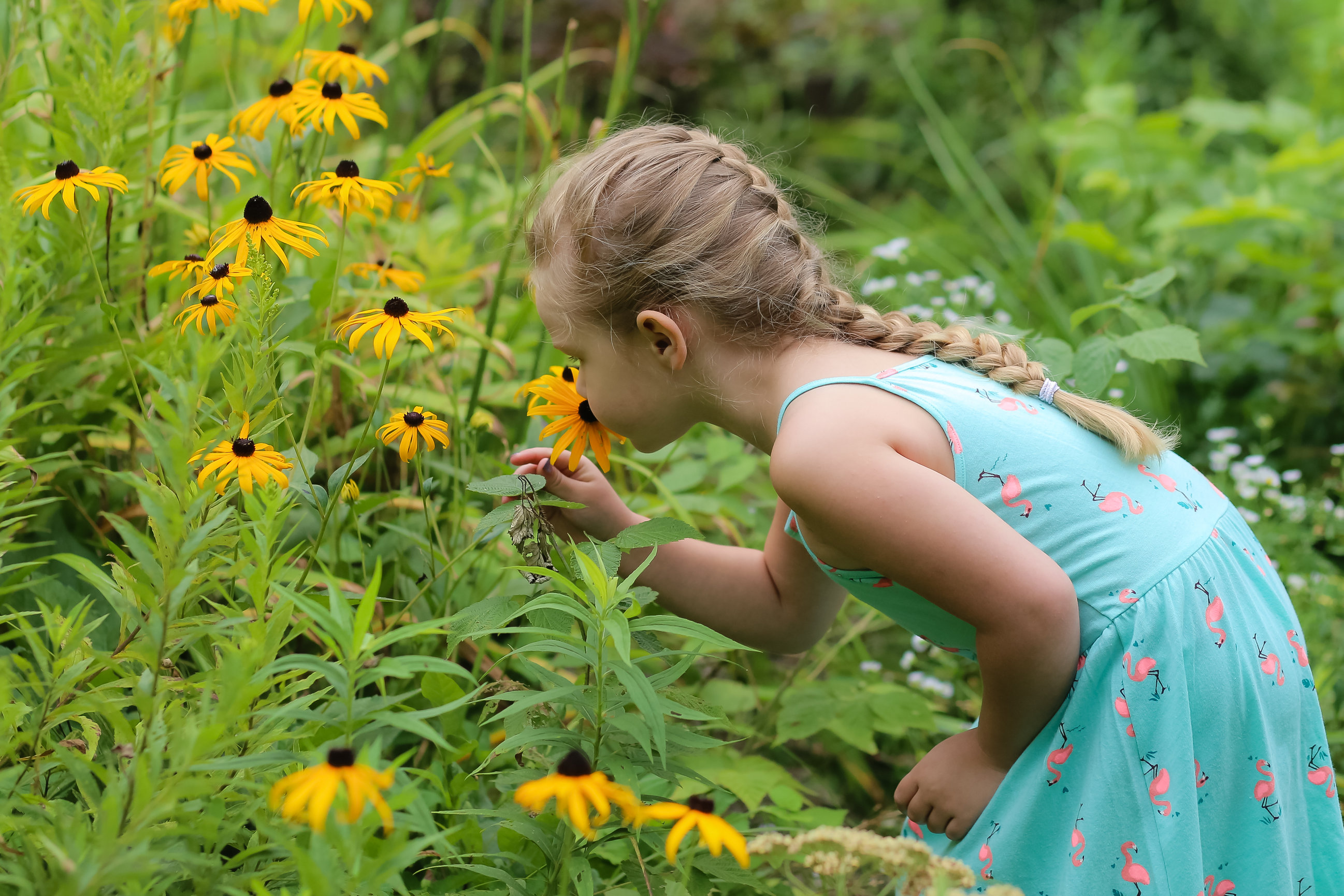 Sessions Photographs by Deanna