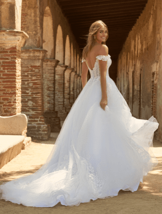 Moderate Wedding Dress