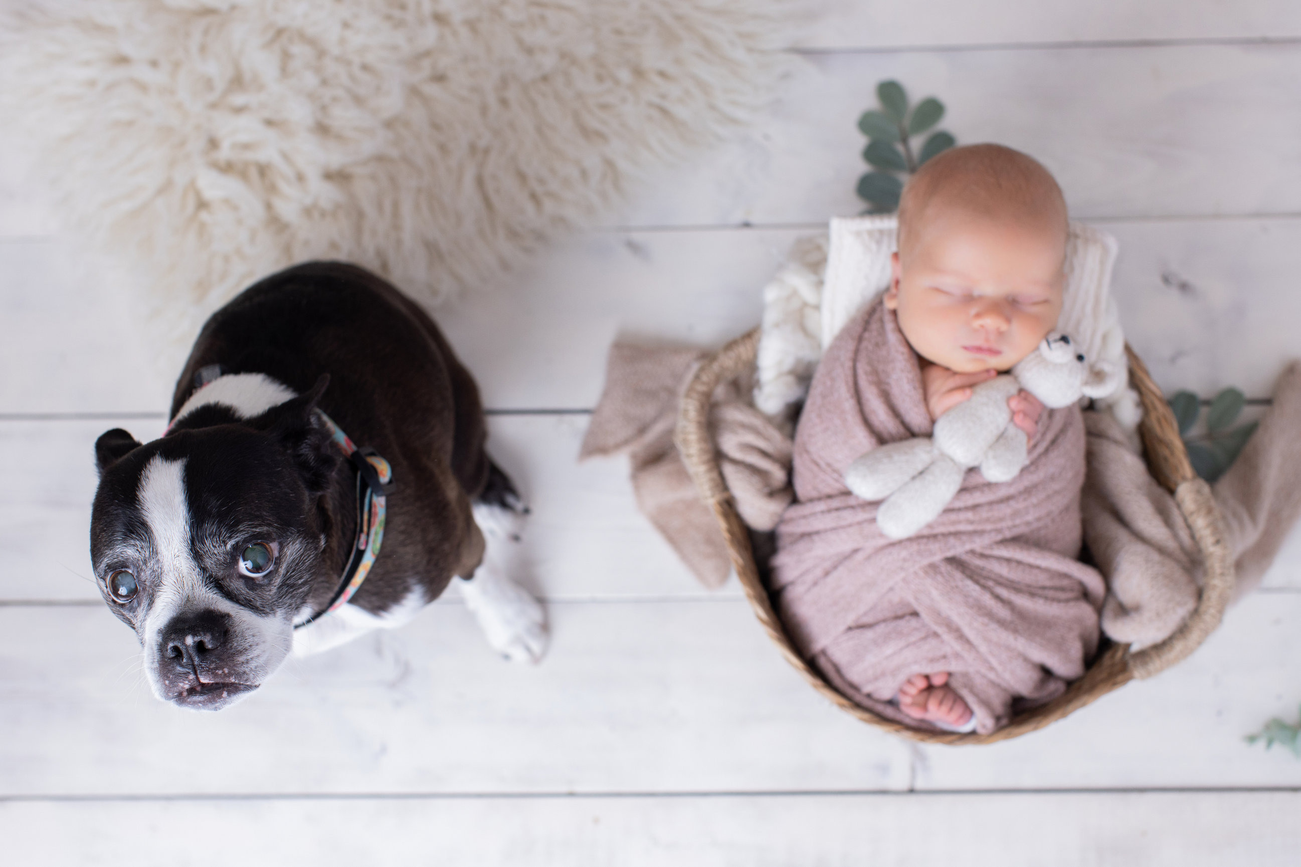 Calgary newborn photography white mauve and big brother love Newborn III session photo 10