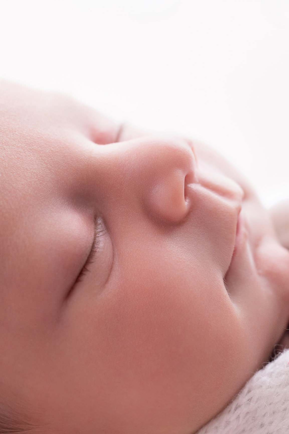 Calgary newborn photography blush pink lilac and cherry blossoms Newborn I session photo 3