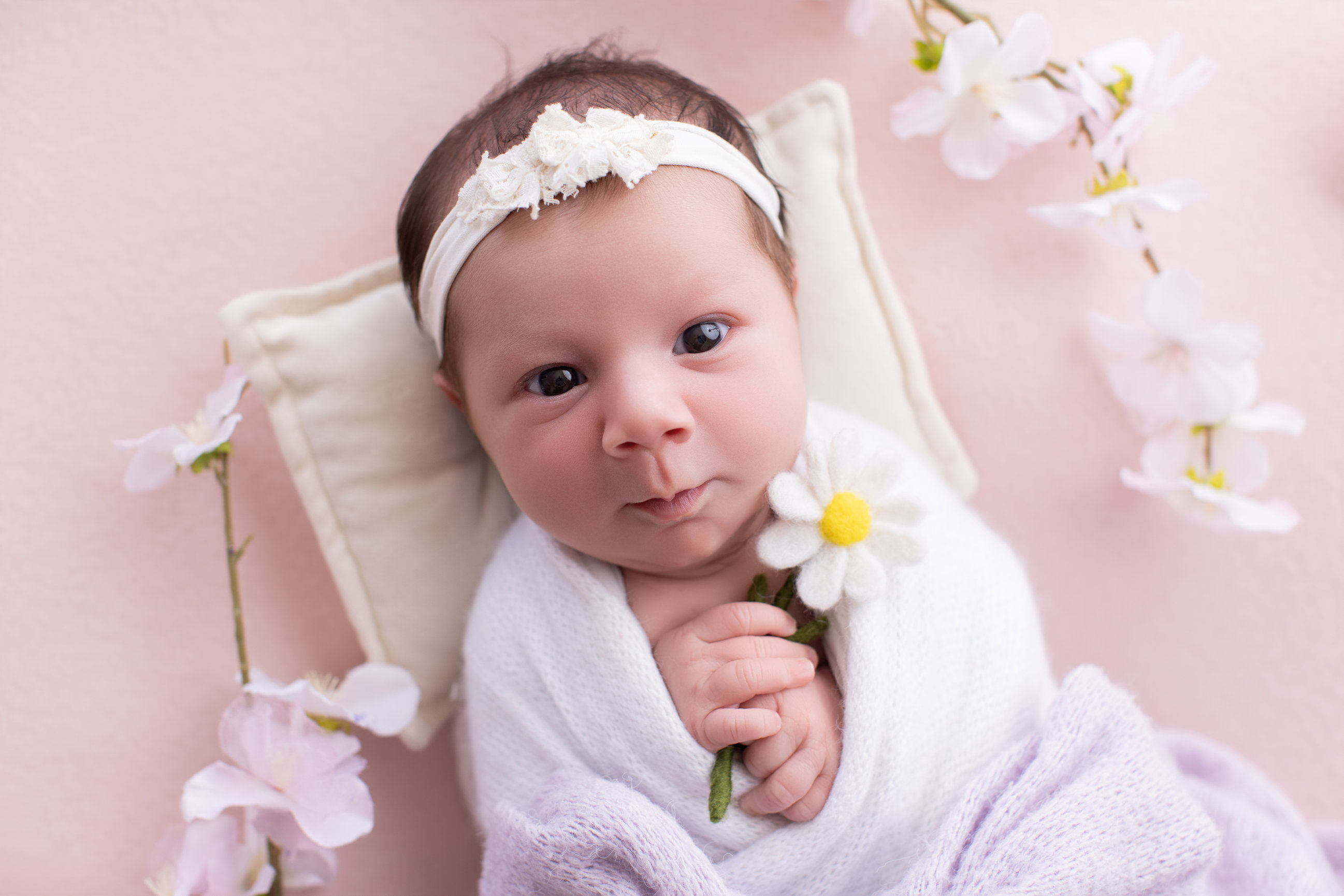 Calgary newborn photography blush pink lilac and cherry blossoms Newborn I session photo 6