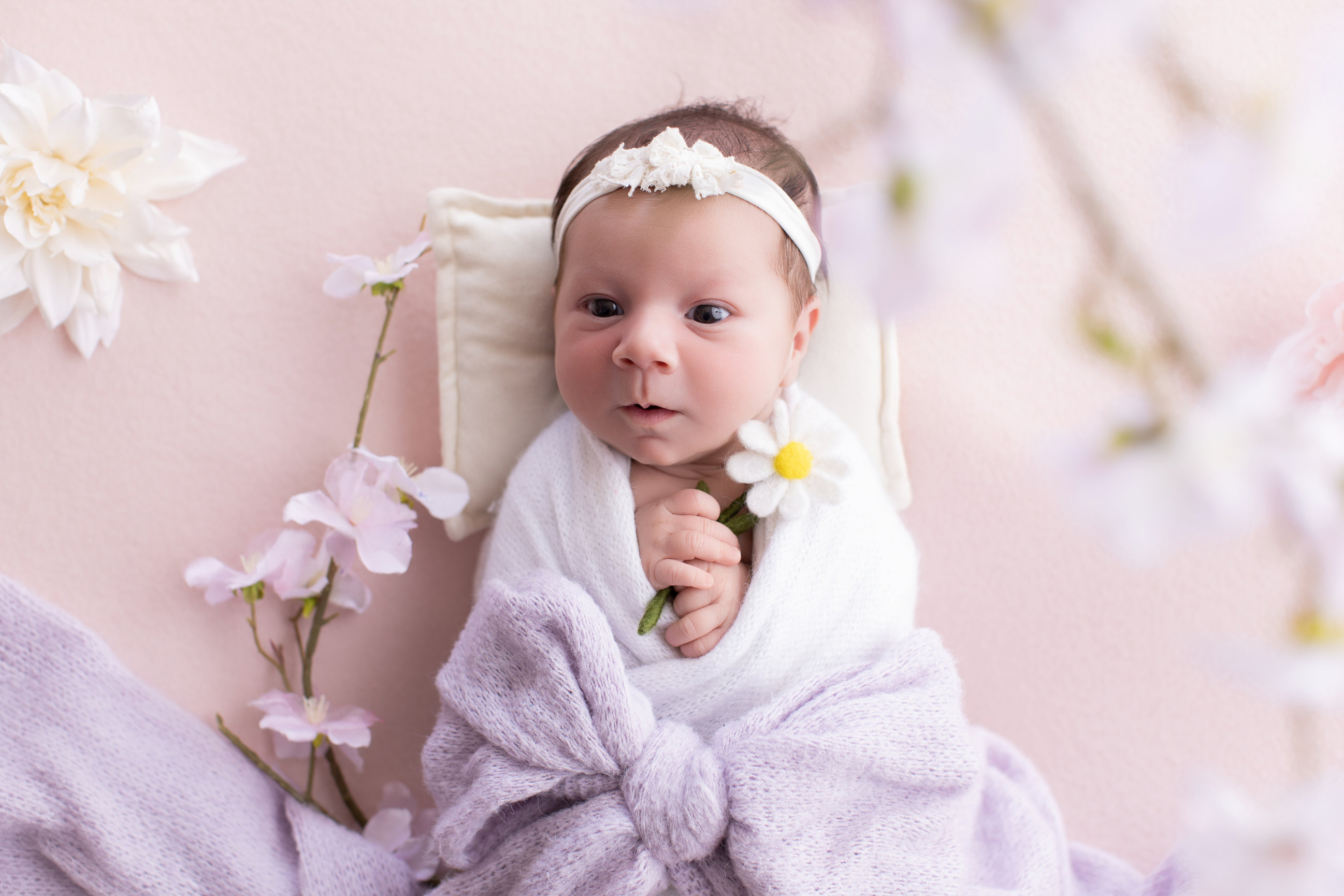Calgary newborn photography blush pink lilac and cherry blossoms Newborn I session photo 8