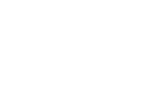 Suzanne Sagmeister Logo