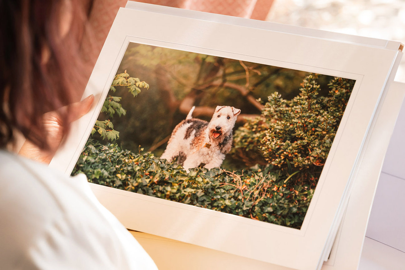 A woman holding open a white presentation folio, looking at a matted fine art print of a wire fox terrier standing among garden foliage