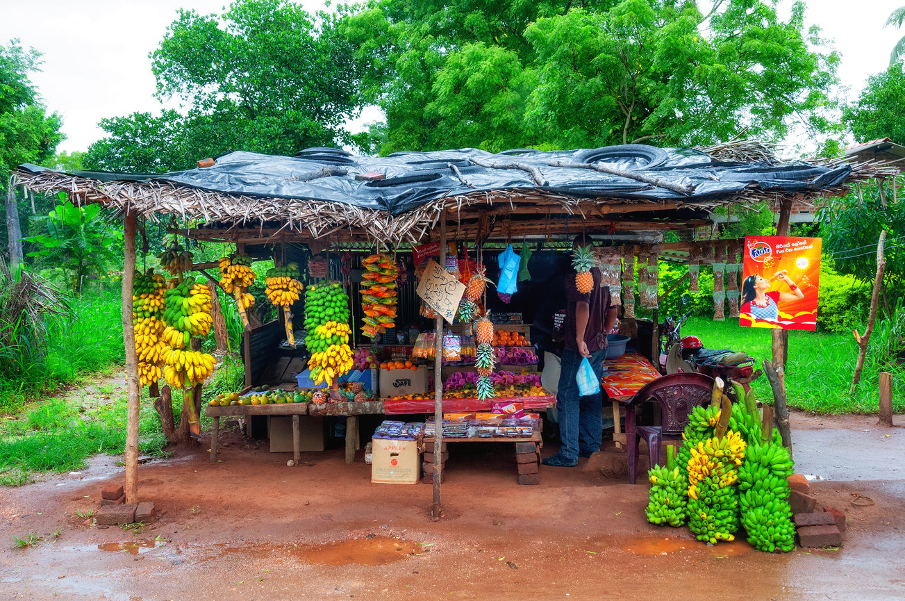 15 Interesting Facts About Sri Lanka, the Land of Serendipity