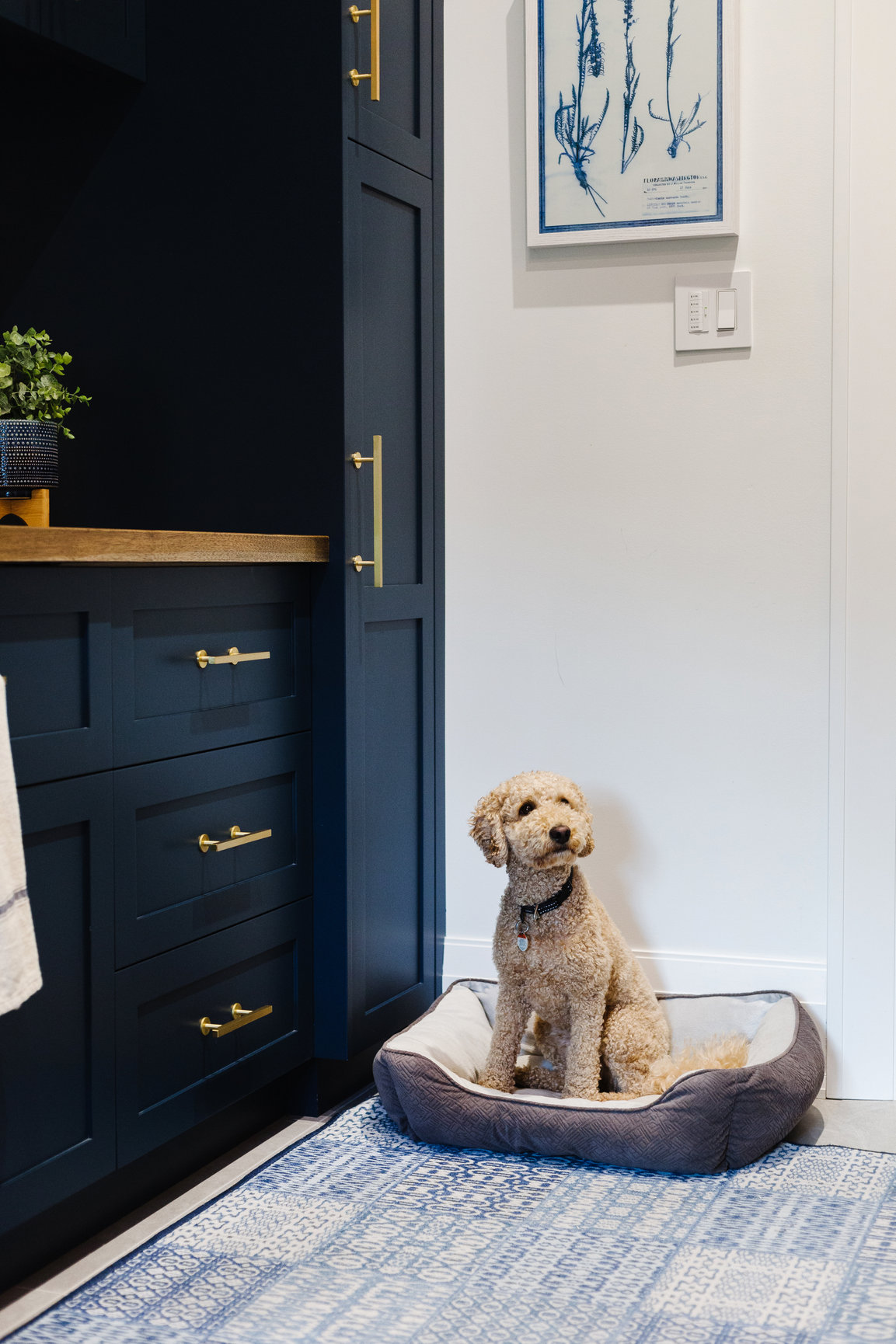 LAUNDRY ROOMS - Bloomsbury Fine Cabinetry Inc.