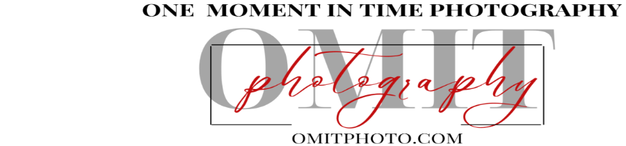 One Moment In Time Photography Logo