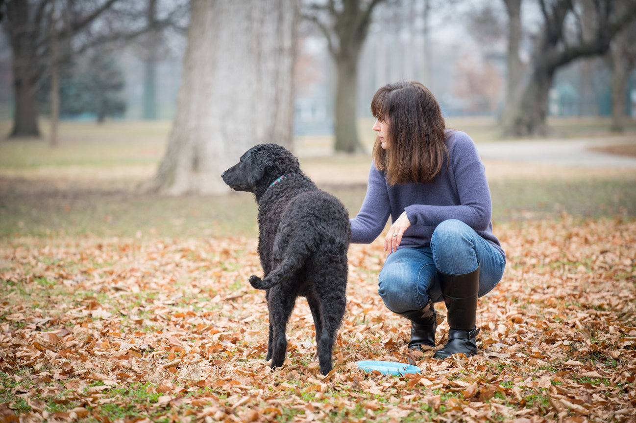 A woman and her dog stand side by side, overlooking a park after a game of frisbee for a professional portrait session by Simply Dog Photography.