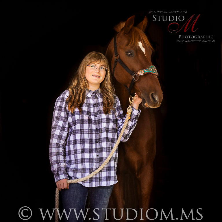 Equine/Horse - Studio M Photographic Pittsburgh Horse Photographer